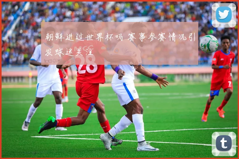 朝鲜进过世界杯吗 赛事参赛情况引发球迷关注